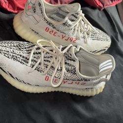 Zebra Yezzys 