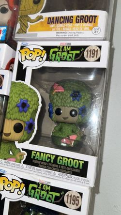 FANCY GROOT FUNKO FOR SALE