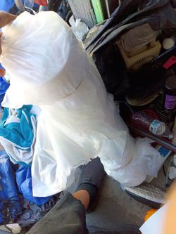 Roll of plastic sheet