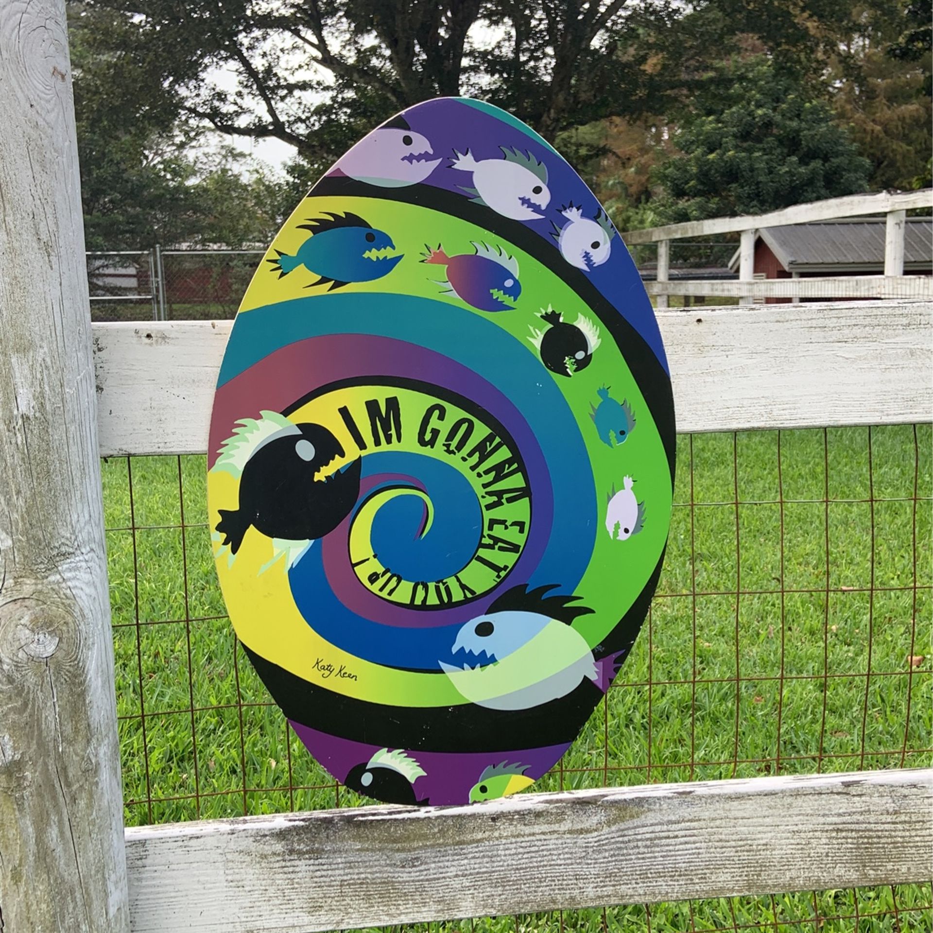 Katy Keen Skimboard- Like New
