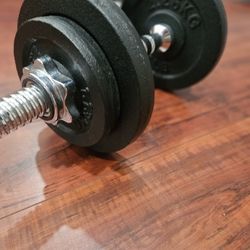Gym Weights 