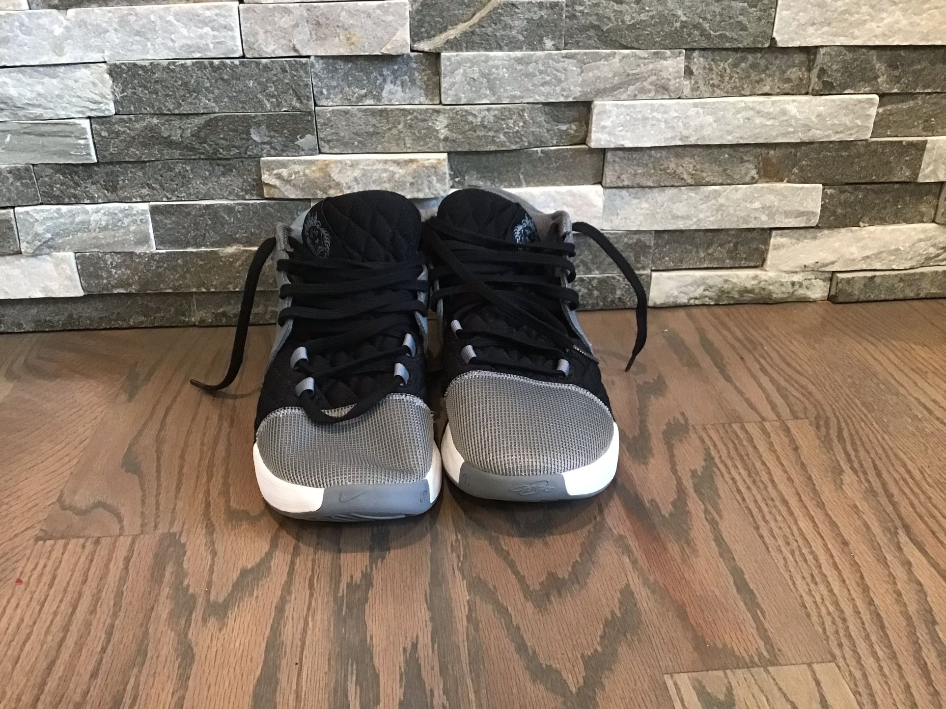 Lebron Basketball Shoes