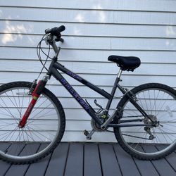 Raleigh Mountain Bike