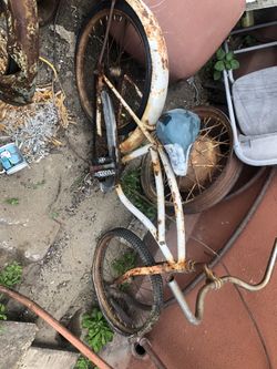 20 Inch Schwinn