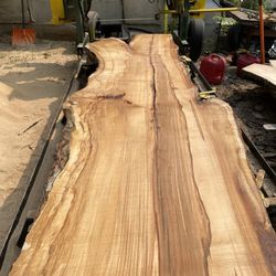Sugar Maple Live Edge Slab