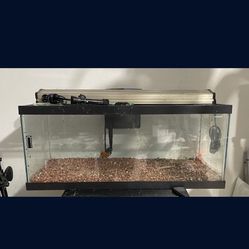 20g Fish Tank Aquarium Kit