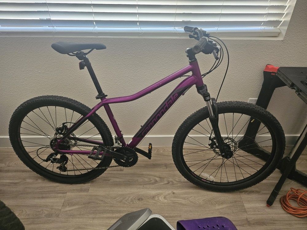 Cannondale 26 Foray