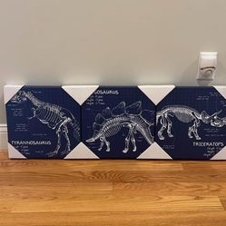 Set Of 3 Dinosaur Pictures 