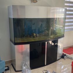 220 Bowfront Aquarium