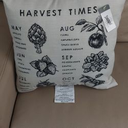 2 Matching Decorative Pillows