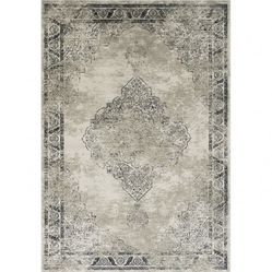 Rug Carpet