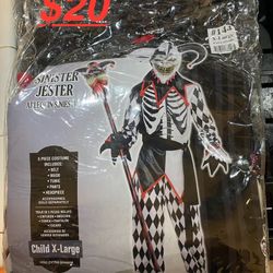 Jester Costume 