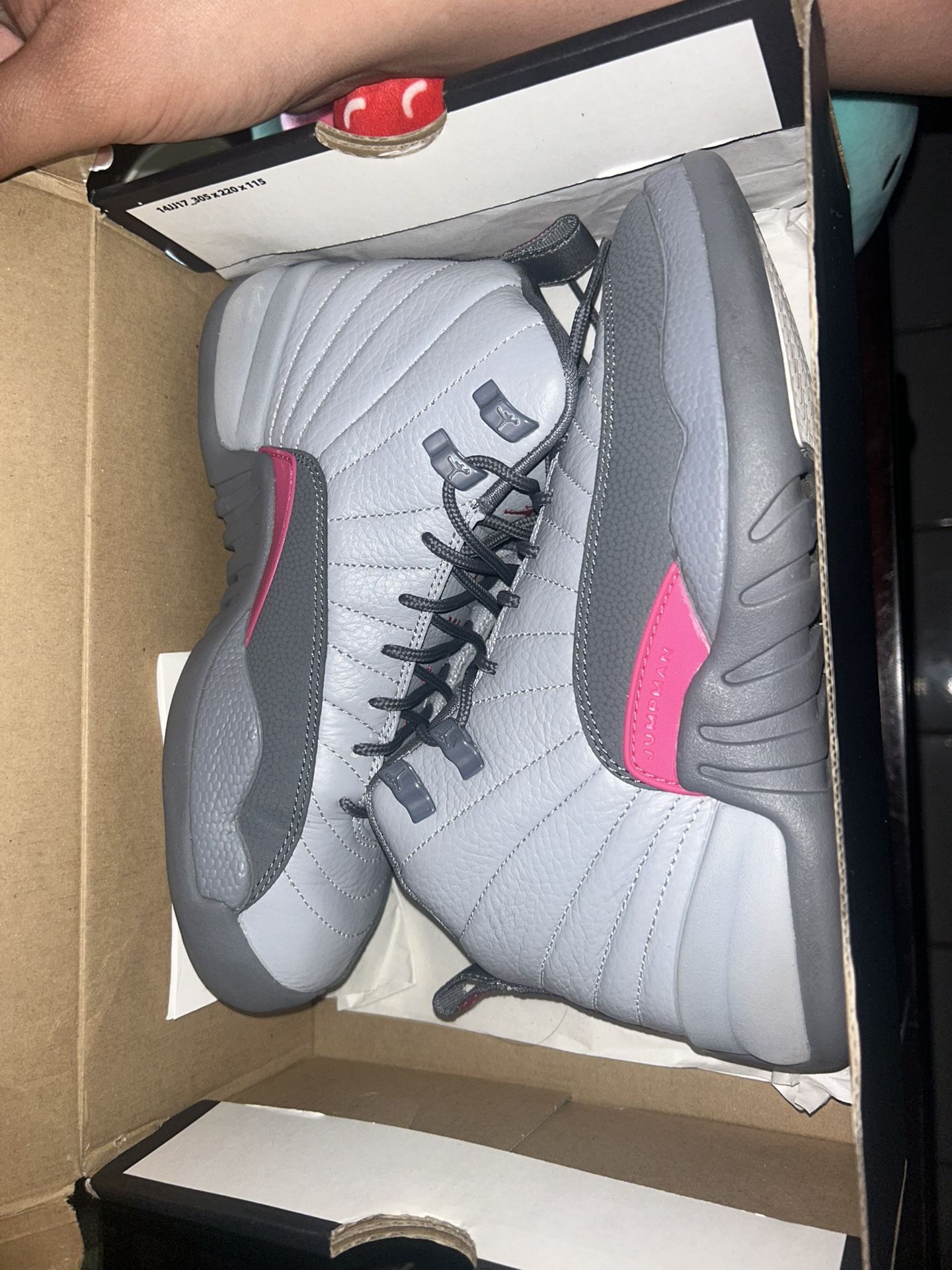 Air Jordan 12 Retro