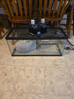 Aquarium Set Up For Lizards