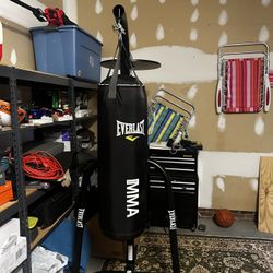 MMA boxing setup