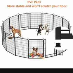 Dog Kennels 