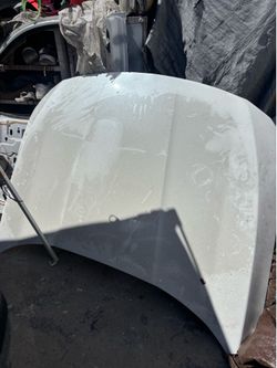 2018-2021 Honda Accord hood