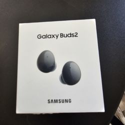 Samsung Galaxy Buds2