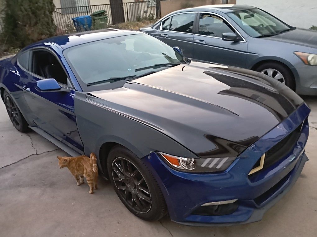 2016 Ford Mustang