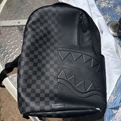 Spry ground Backpack 