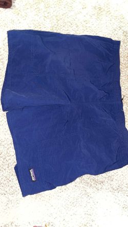 Patagonia shorts 