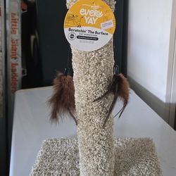 Cat Scratch Post EveryYay