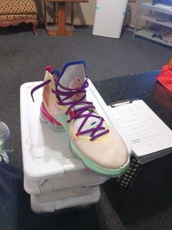 Lebron signature series size11