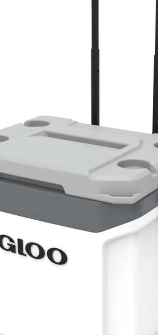 Igloo Cooler