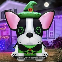 HALLOWEEN INFLATABLE BOSTON TERRIER PARTY PROP   =^)