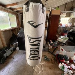 Punching Bag 80lb