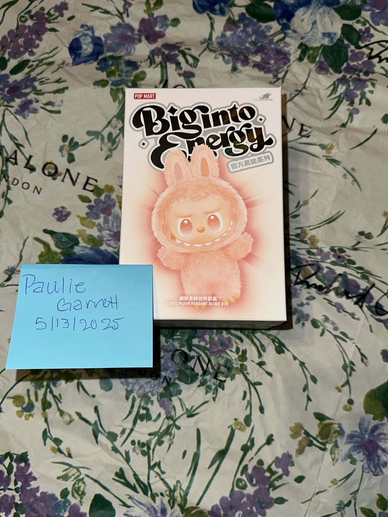 Labubu ‘Big Into Energy’ V3 Rare Plush Blind Box