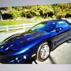 2002 Pontiac  Firebird Convertible