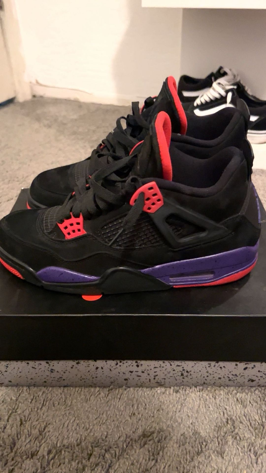 Jordan 4s Raptors