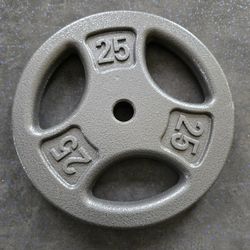 Single 25lb Standard 1inch Weight Plate-