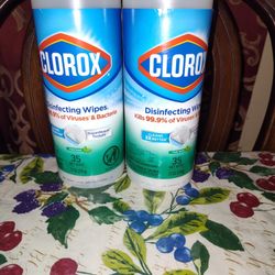 Clorox Wipes $3 *** Houston TX 77093 *****