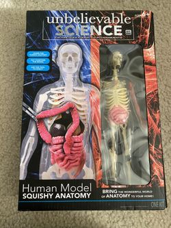 Unbelievable Science Human Body Squishy Anatomy