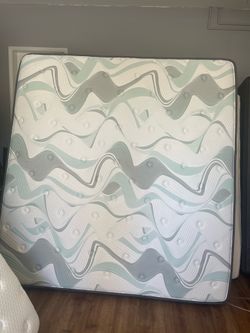 Sleep science king mattress
