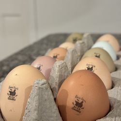 Selling Eggs! 🥚 Vendo Huevos! 