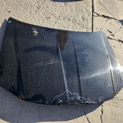 Chrysler 300 Hood Oem