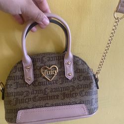 Brown/Pink Juicy Couture Bag