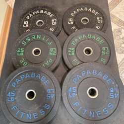 160lb Papababe Bumper Plate Set 