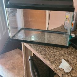 Ten Gallon Fish Tank