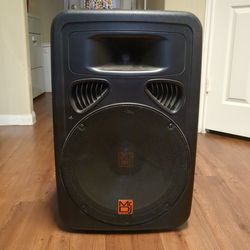 Mr DJ pp-3000DJ speaker