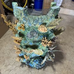Coral Reef Insert ( Large ) 