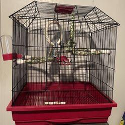Bird cage