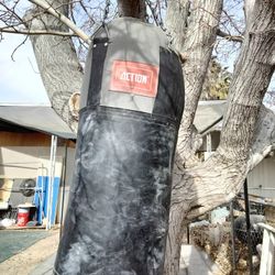 Boxing Bag 