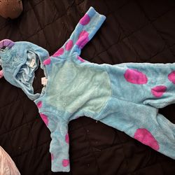 Sully Costume