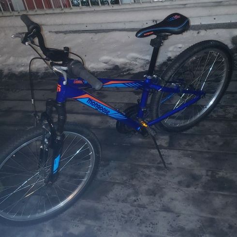 Mongoose camrock online 26