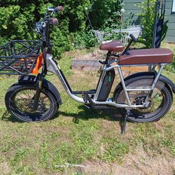 Rad Runner Plus Cargo Electric Bike