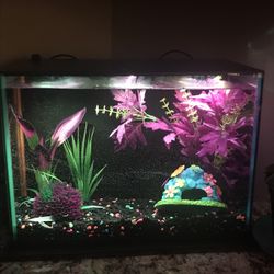 Two Fully Set Fish Aquariums For Sale 